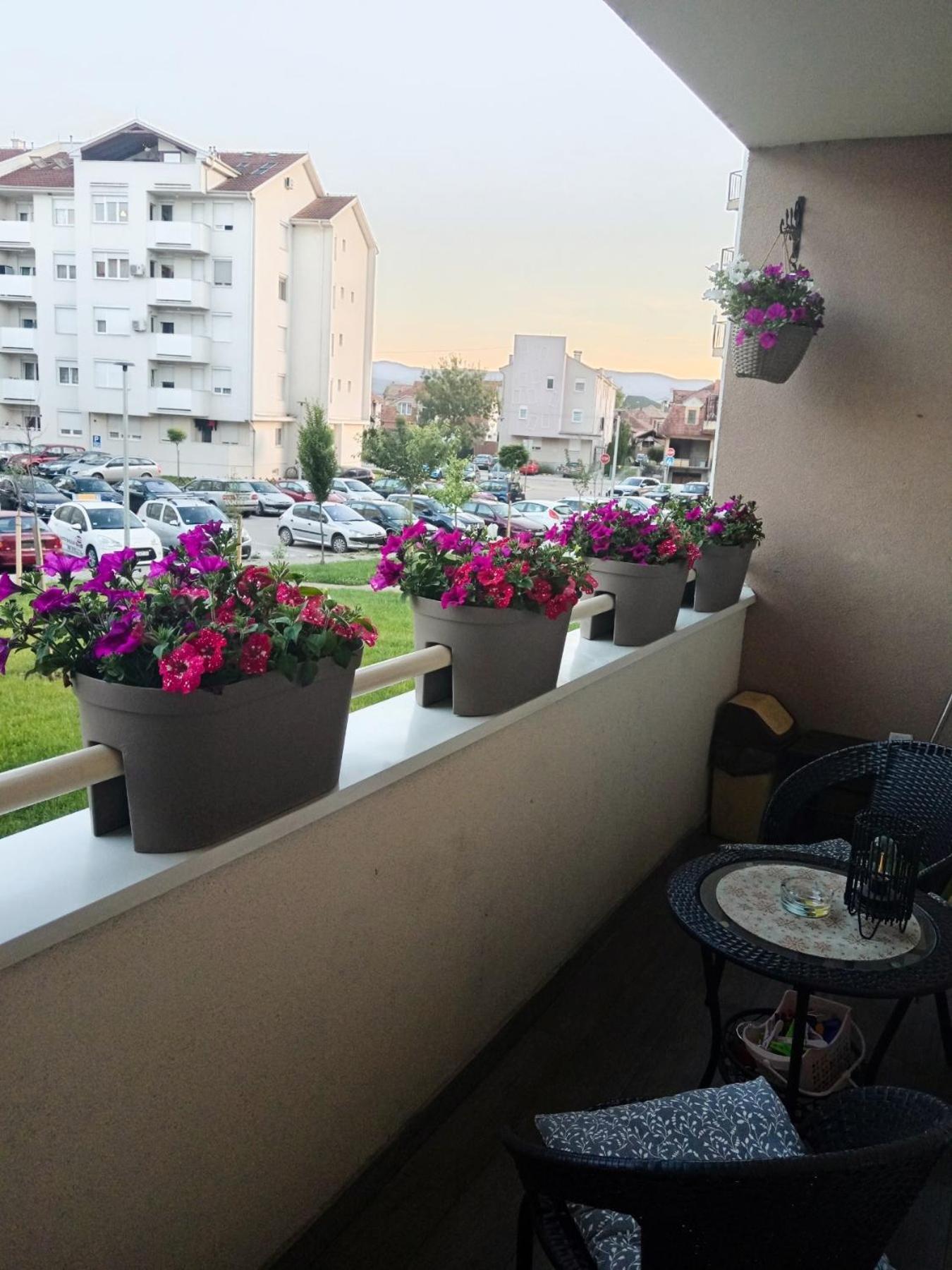 Apartman Lara ปิโรต์ ภายนอก รูปภาพ
