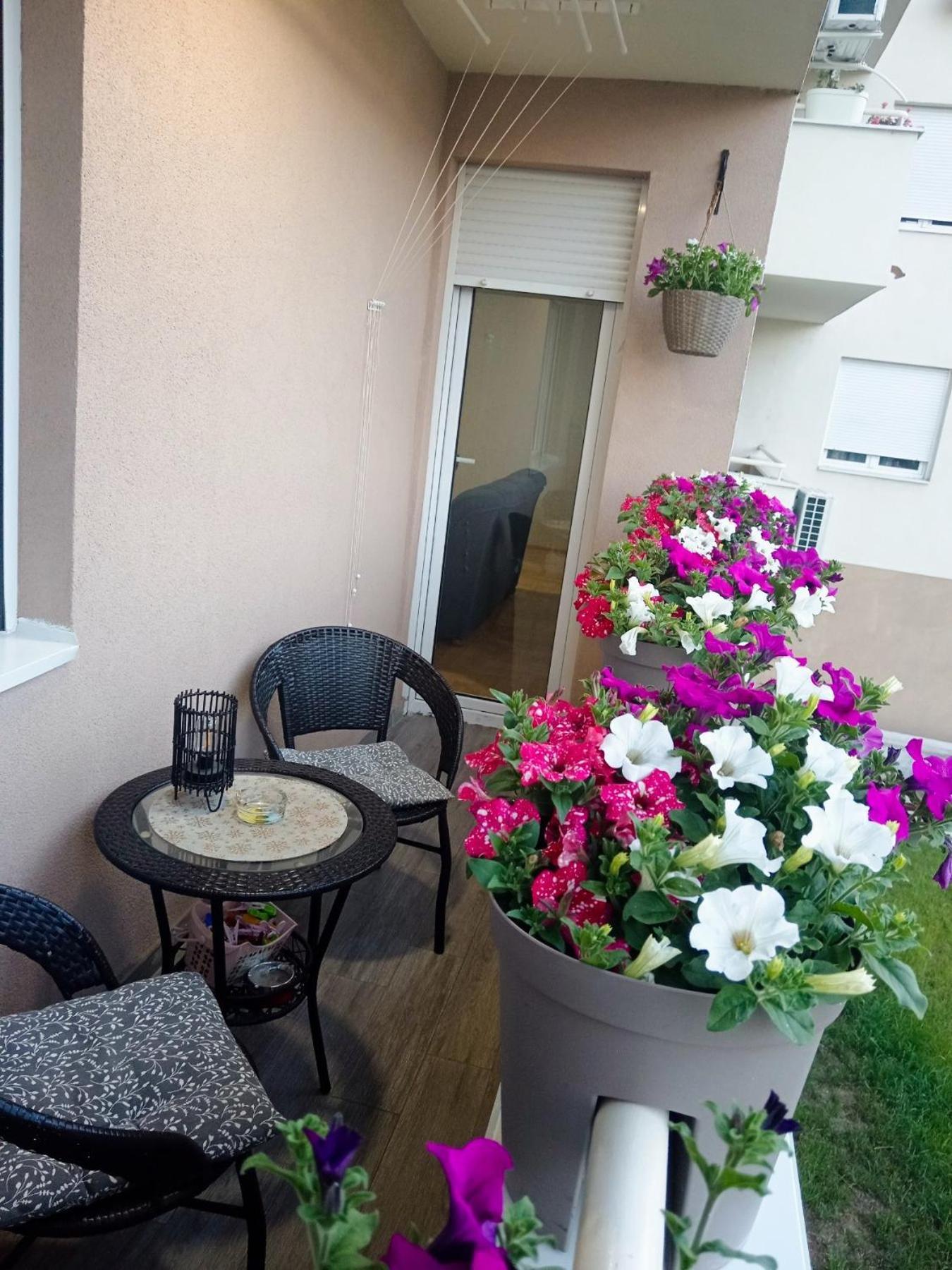 Apartman Lara ปิโรต์ ภายนอก รูปภาพ